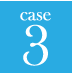 case3